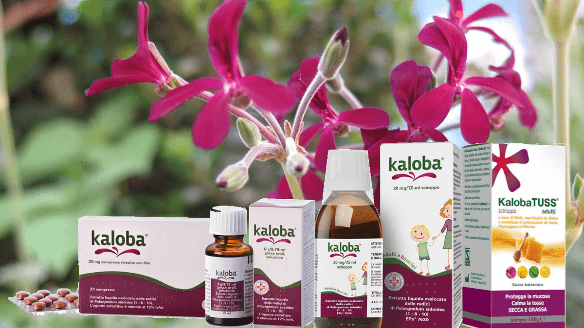 Kaloba-farmaco-vegetale-contro-raffeddore-tosse-mal-di-gola
